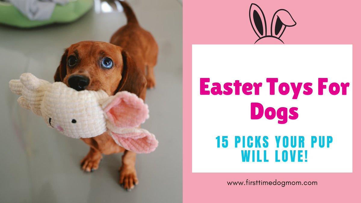 Keep your dog entertained this Easter. Discover 15 toys perfect for Easter baskets, from plush snuggly companions to interactive puzzles your pup will love.
firsttimedogmom.com/easter-toys-fo…
#DogToys #EasterForDogs #DogOwners #PetTips