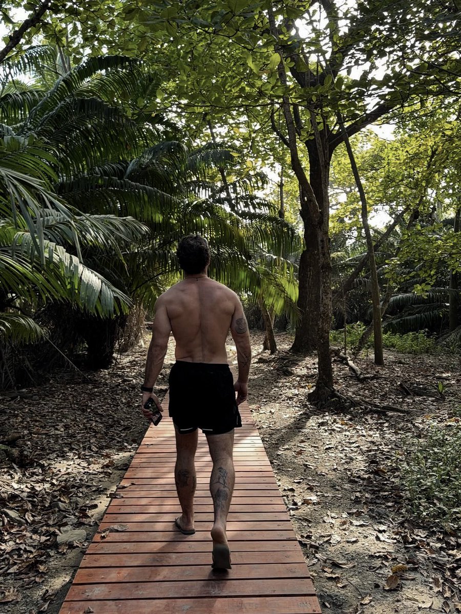 carter north tweet media