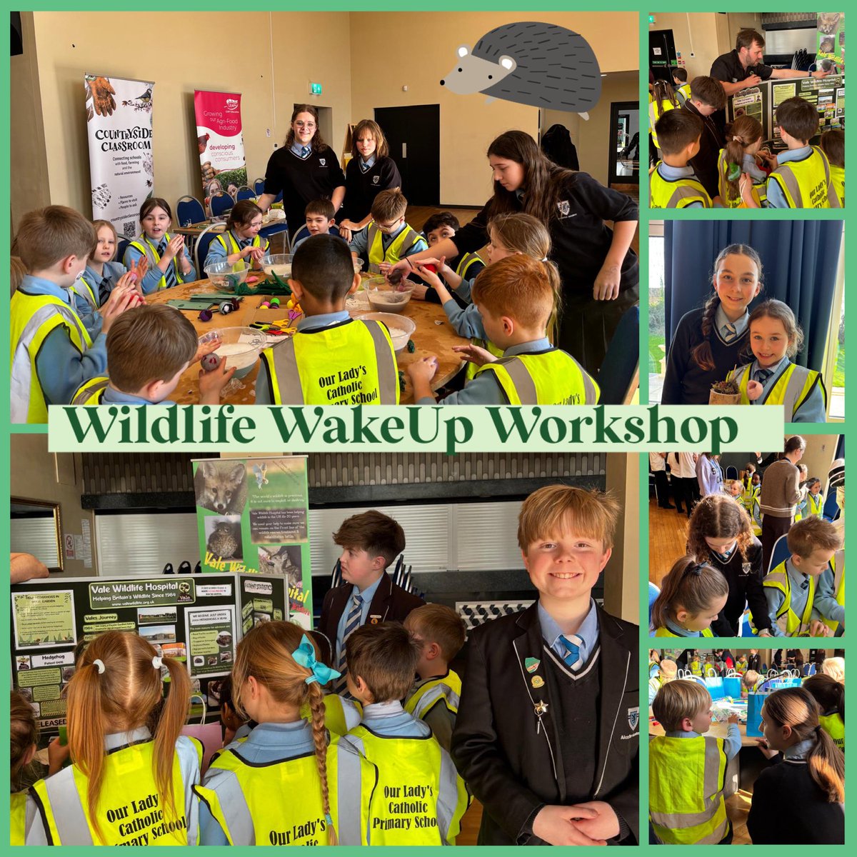 Alcester Academy tweet media