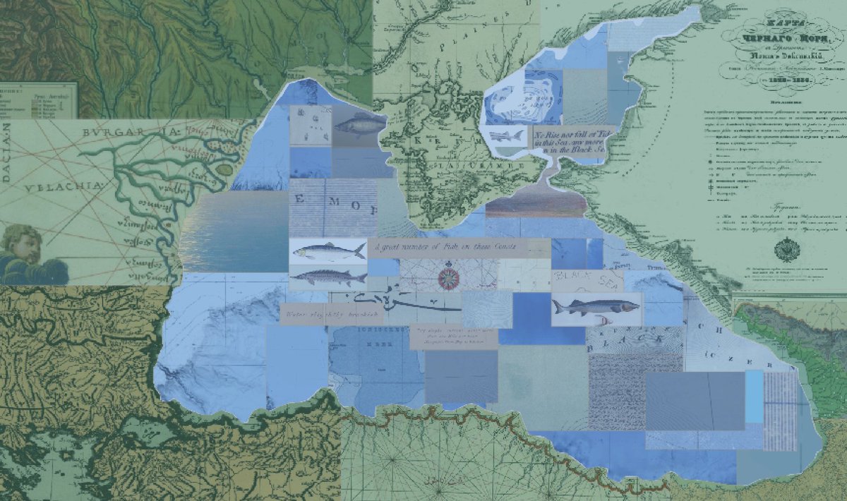 The Imperiia Project 🇺🇦 tweet media