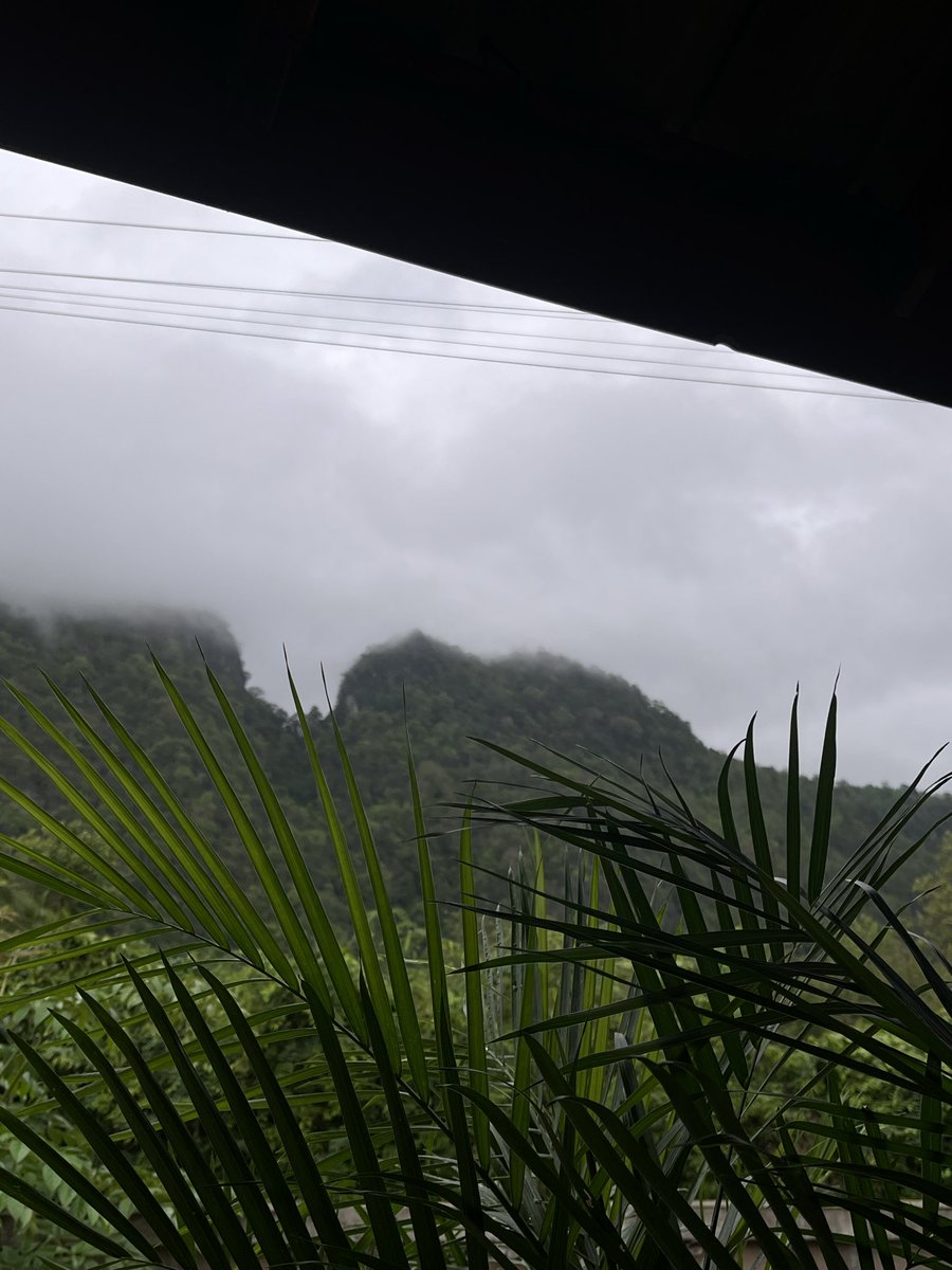 Guide tweet media