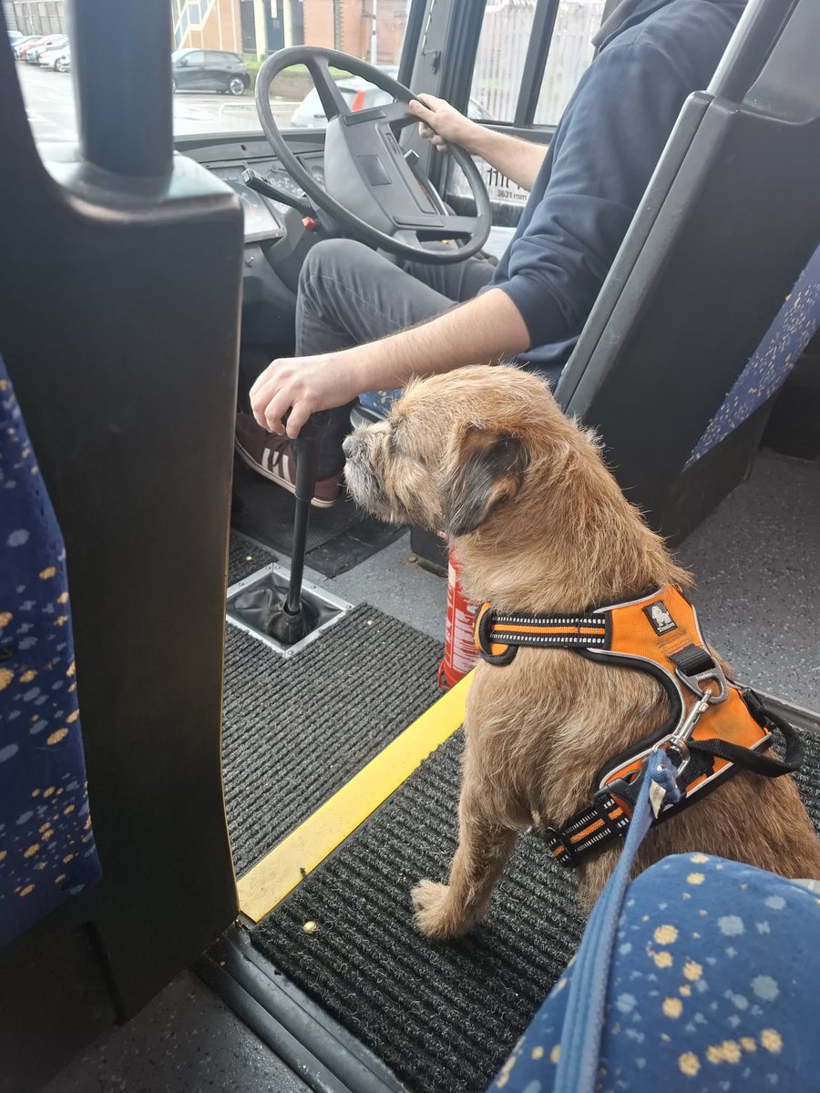 Burrows Coaches tweet media