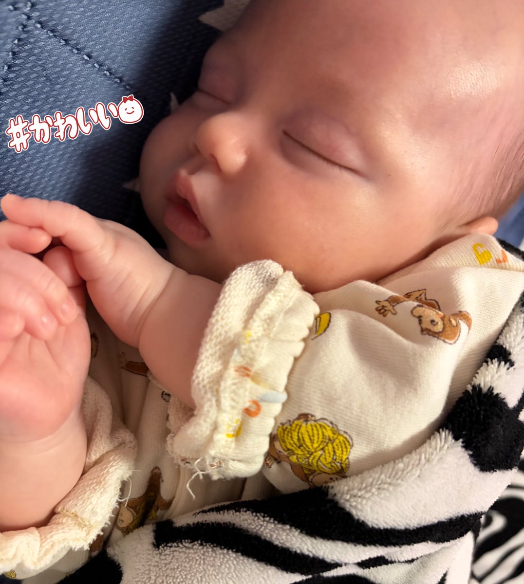 abesnow17's tweet photo. お腹の中でよくしてた寝相✨️ https://t.co/XOTcTI8tSW