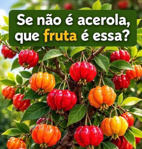 Eliane Dalla Valle tweet media