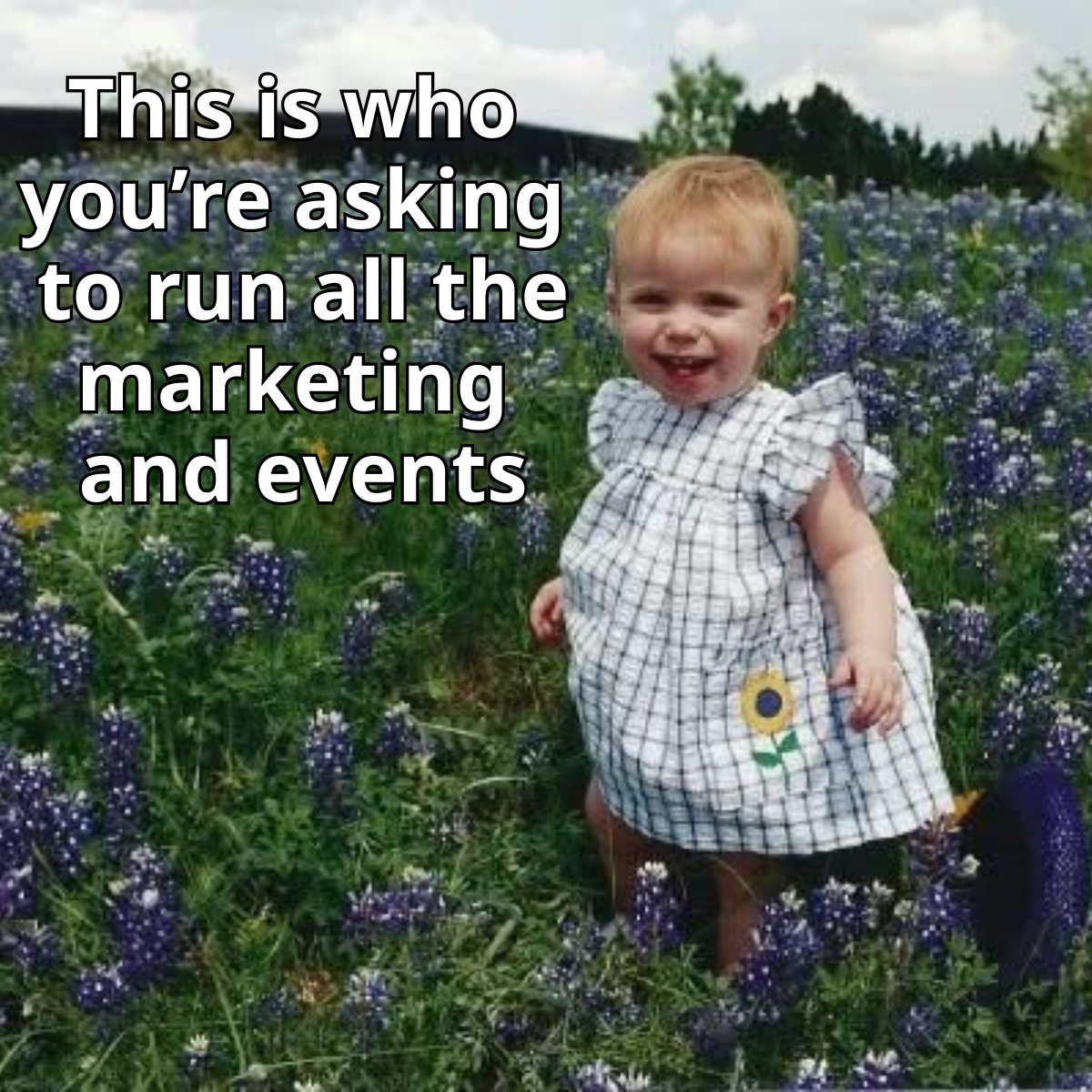 HumCap LP tweet media