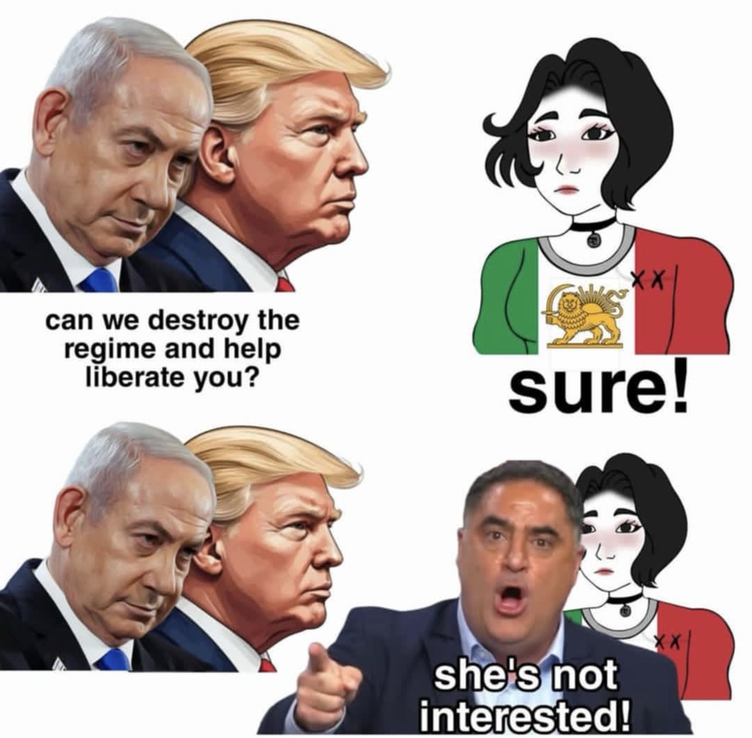 Seth Plaut tweet media