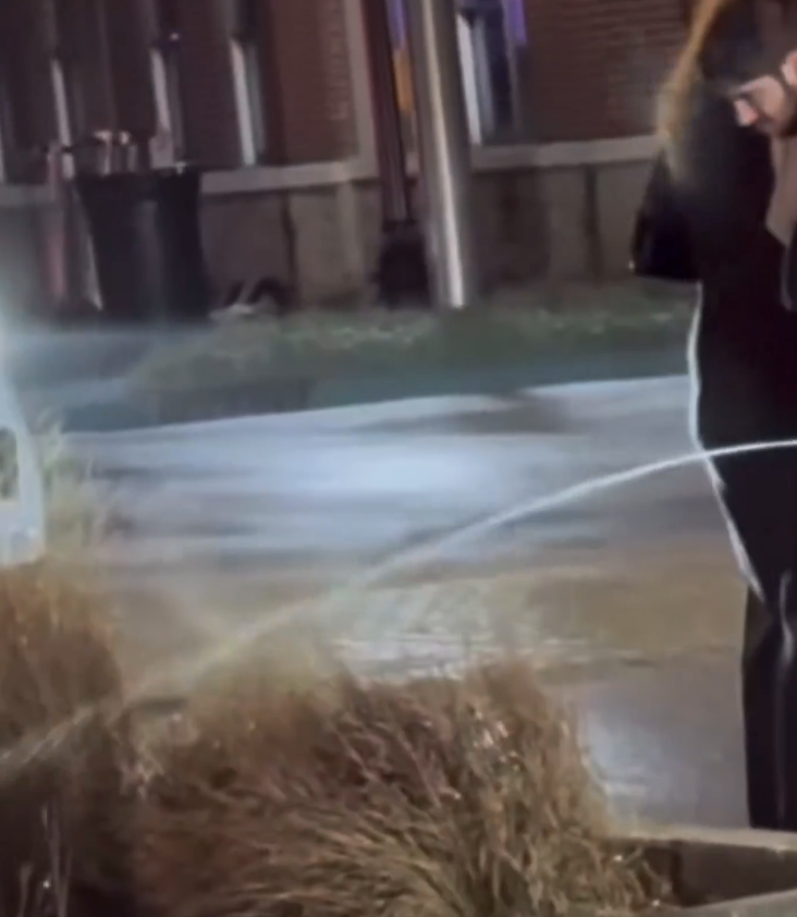 ⛽️GasGod tweet media