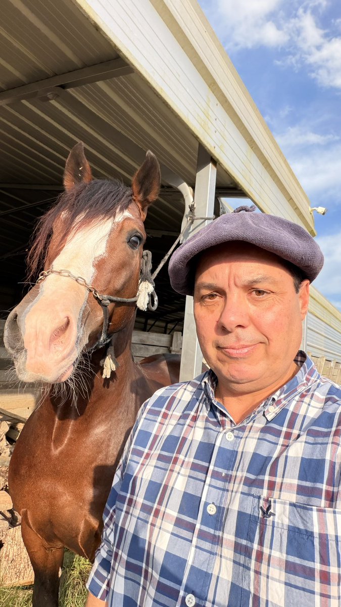 diegoespindolar's tweet photo. Cavalo Bueno 
Temos também https://t.co/SKrc1aQEU8