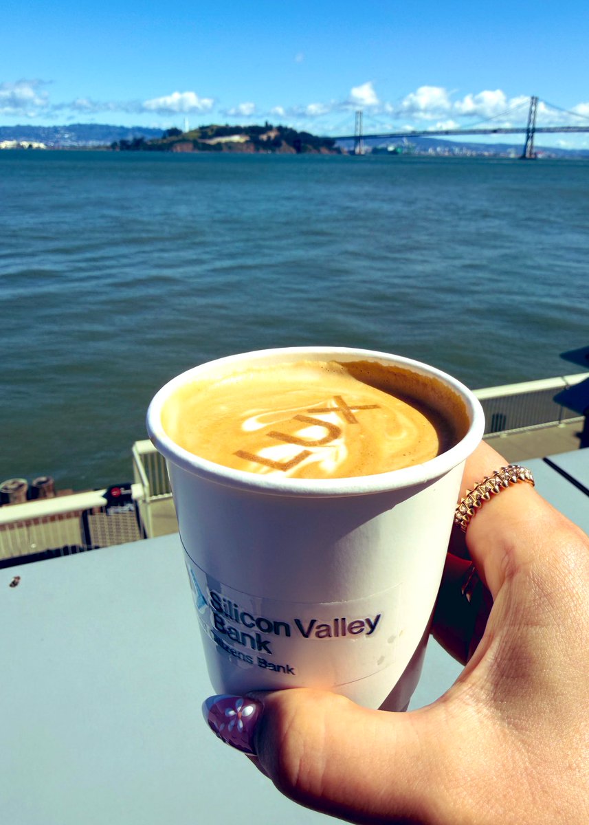 Michelle Stephens tweet media