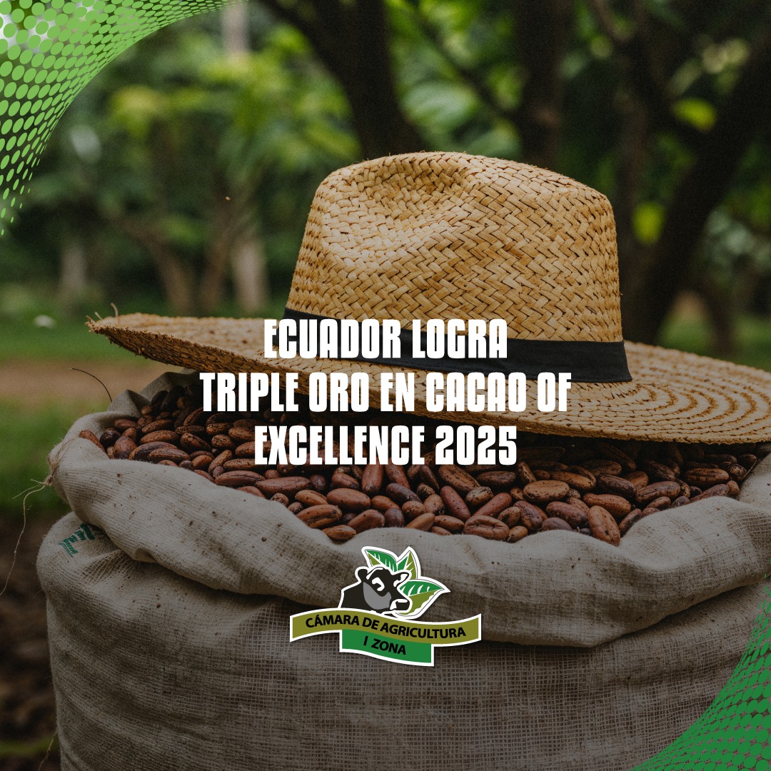 🍫🇪🇨 Ecuador logra Triple Oro en Cacao of Excellence 2025, destacando la calidad internacional de nuestro cacao fino y de aroma.

Este reconocimiento impulsa la presencia ecuatoriana en mercados globales.

✨ Si el agro crece, el Ecuador crece. 🌱

#CacaoEcuador #AgroEcuador