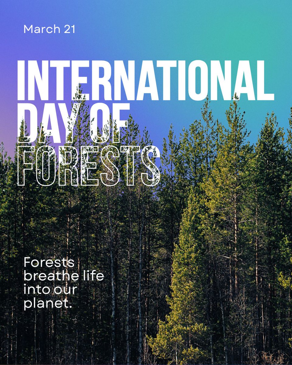 ReFi Medellín (🌳, 🌱) tweet media