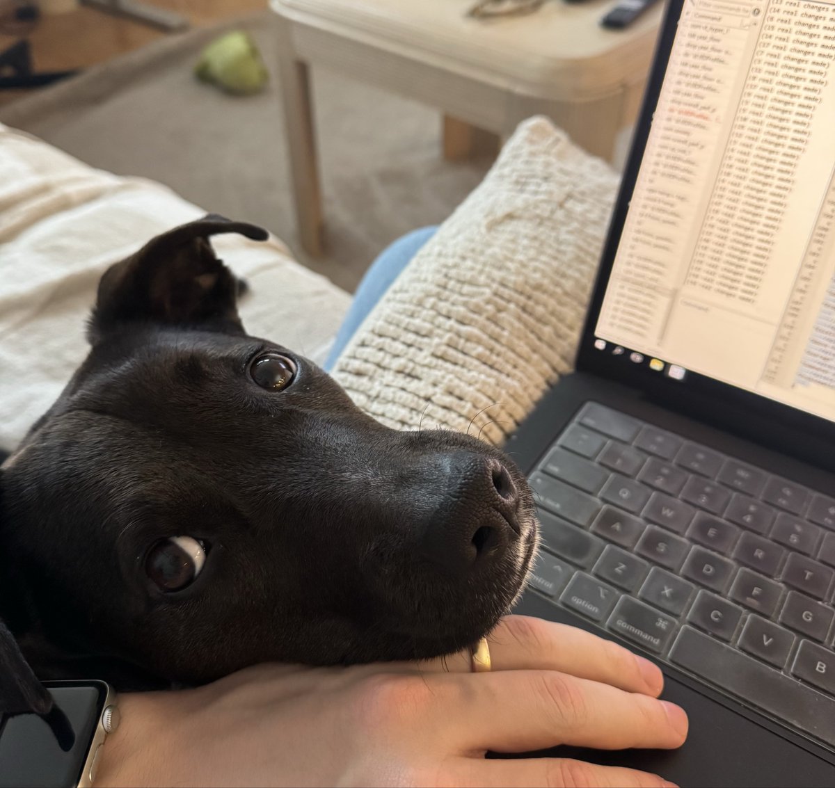 Zach Weingarten tweet media