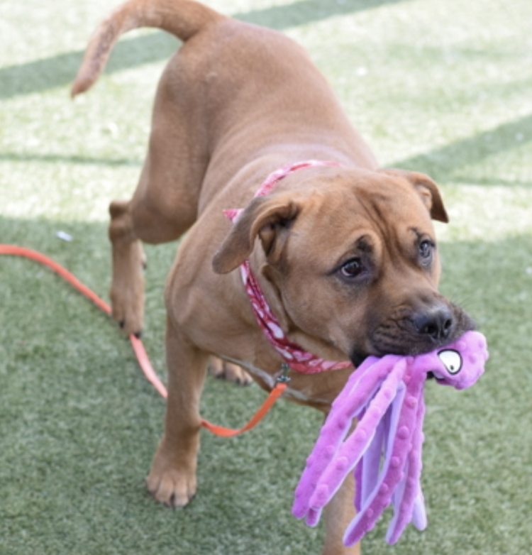 Tootsismyname🏴‍☠️ tweet media