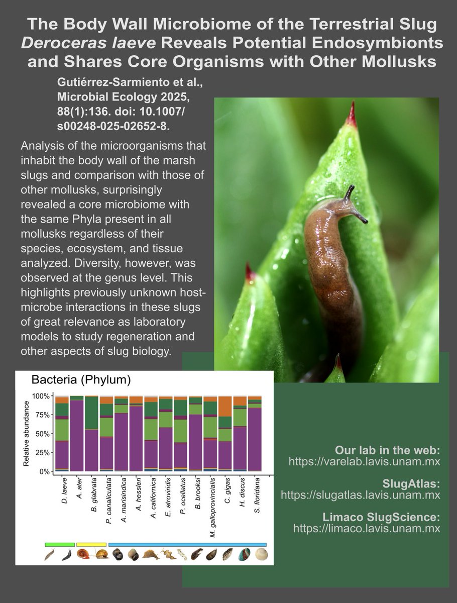 Alfredo Varela-Echavarría tweet media