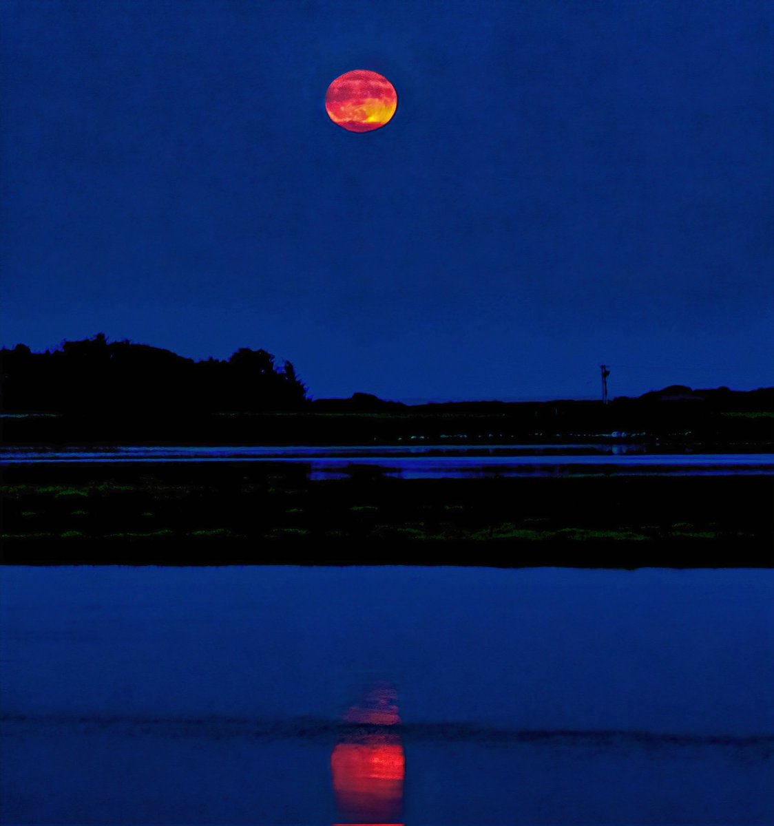 BleddynJones-Pearson tweet media