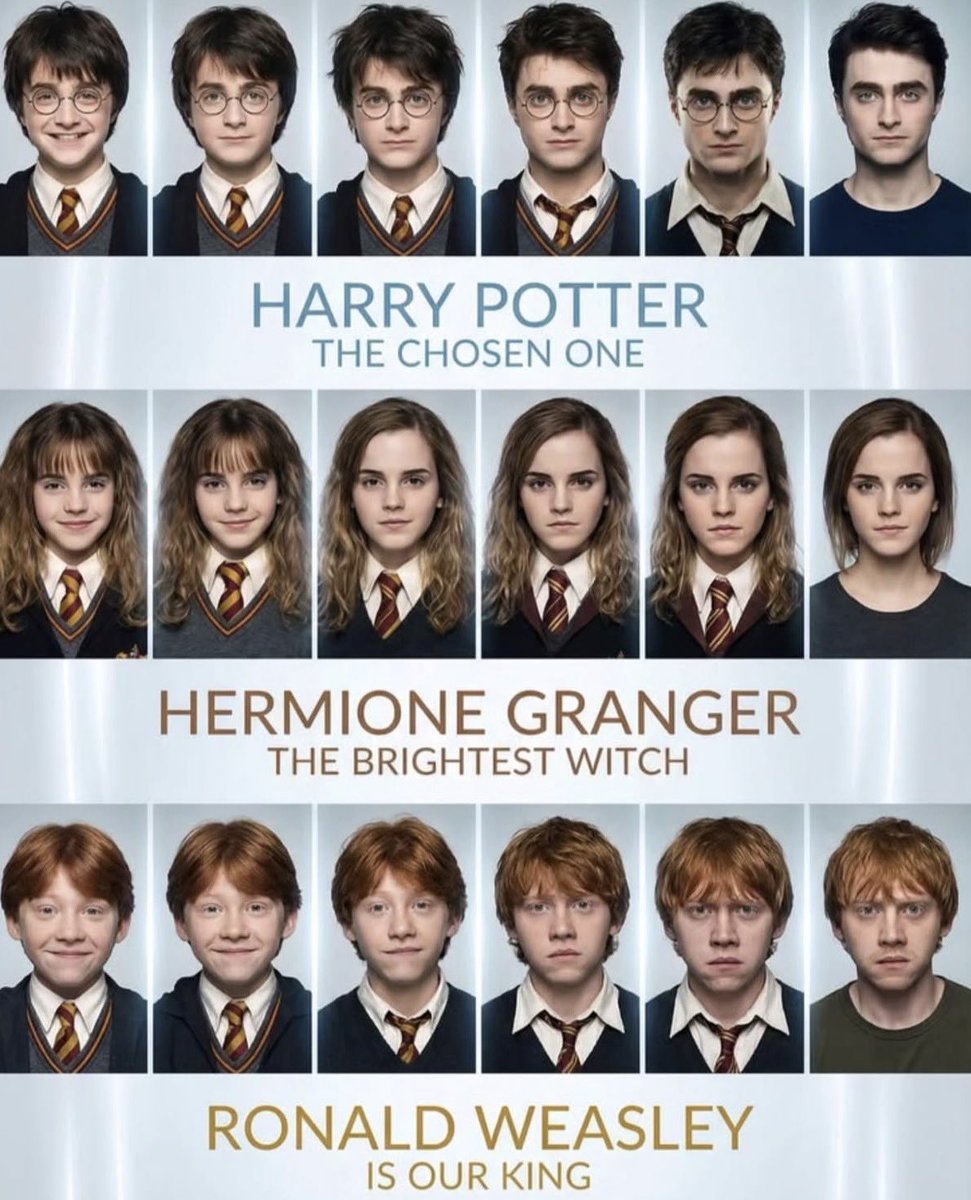 PotterWorldwide tweet media
