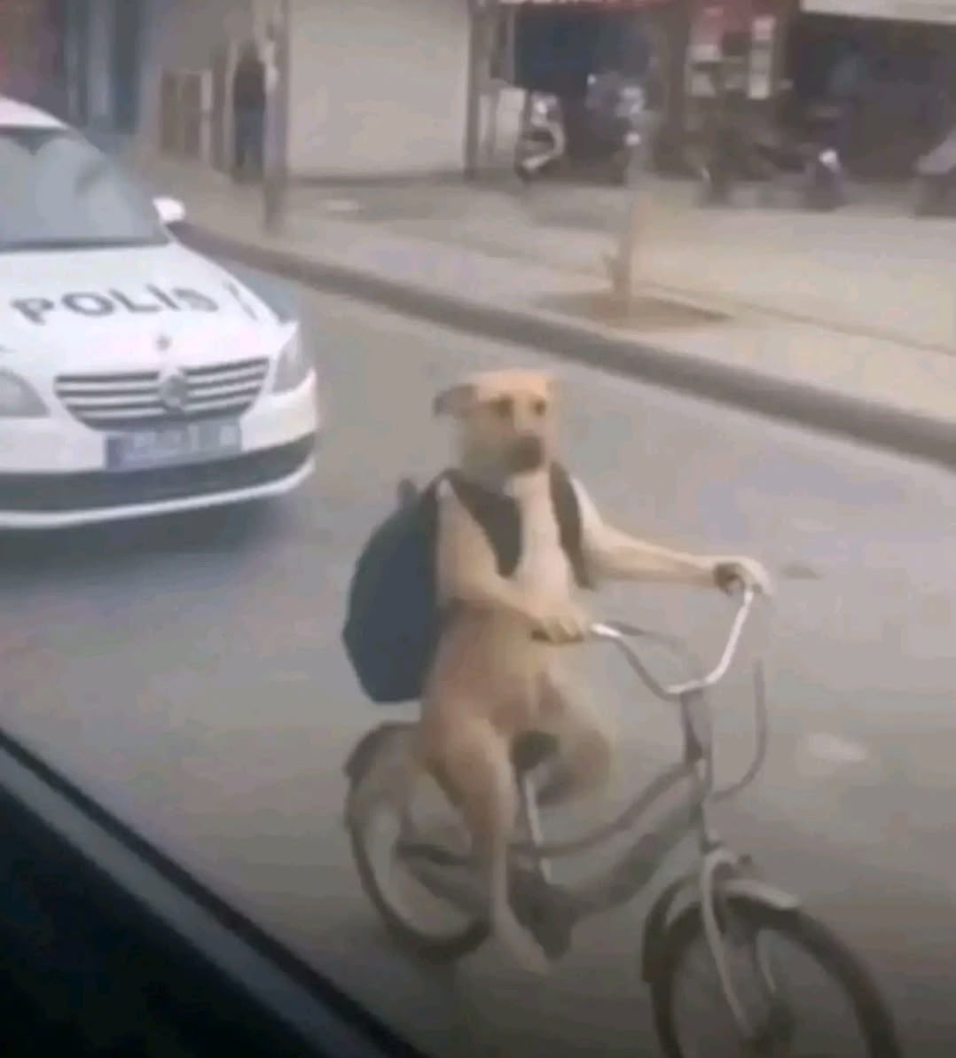 tattoos i would get if i had money (@twtpictures) on Twitter photo 