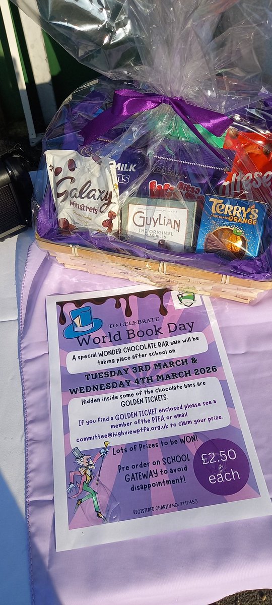 High View Primary School tweet media