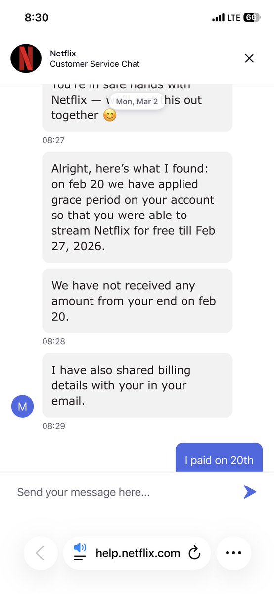 Stephy Designs tweet media