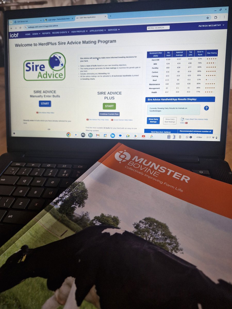 Patrick Mc Carthy tweet media