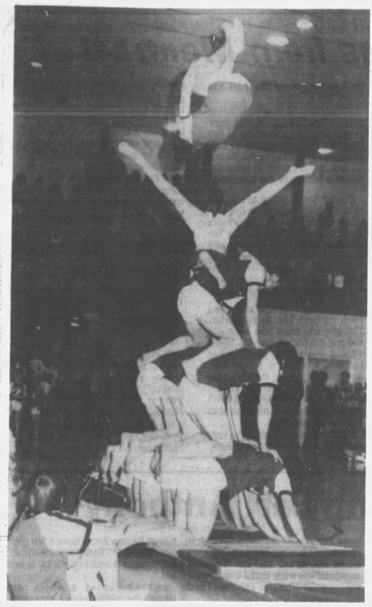 Steve Bruce tweet media