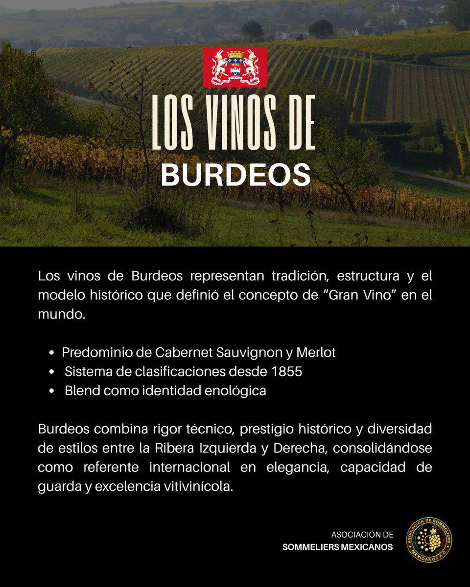 ASM  A.C. tweet media