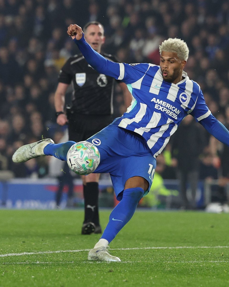 ブライトン & ホーヴ・アルビオン (@OfficialBHAJPN) / Posts / X