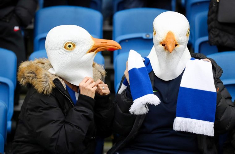 أحمد tweet media