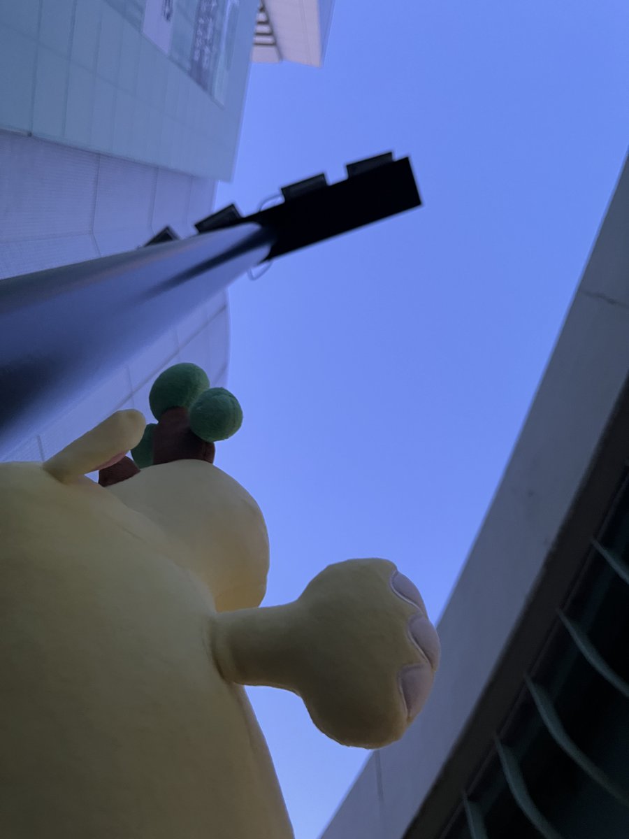 ☀️Good Luck！Morning！🌺 《FM NACK5》 (@GL_Morning) / Posts / X