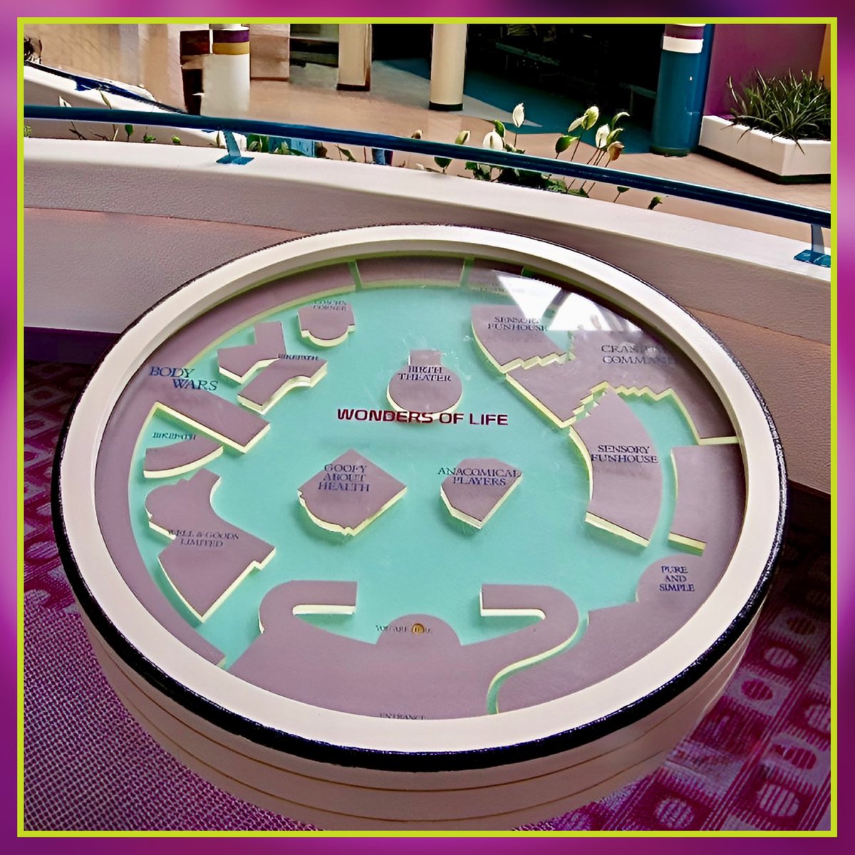 Parkeology tweet media