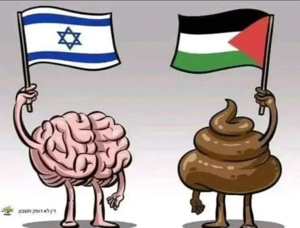 Brock Profit tweet media