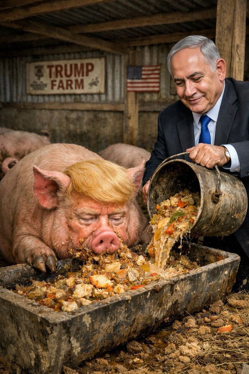 soros triplehijueputa tweet media