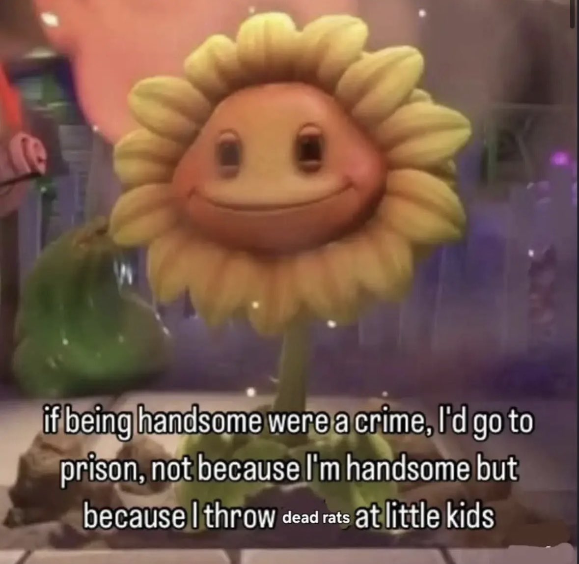 PhishPhrog tweet media