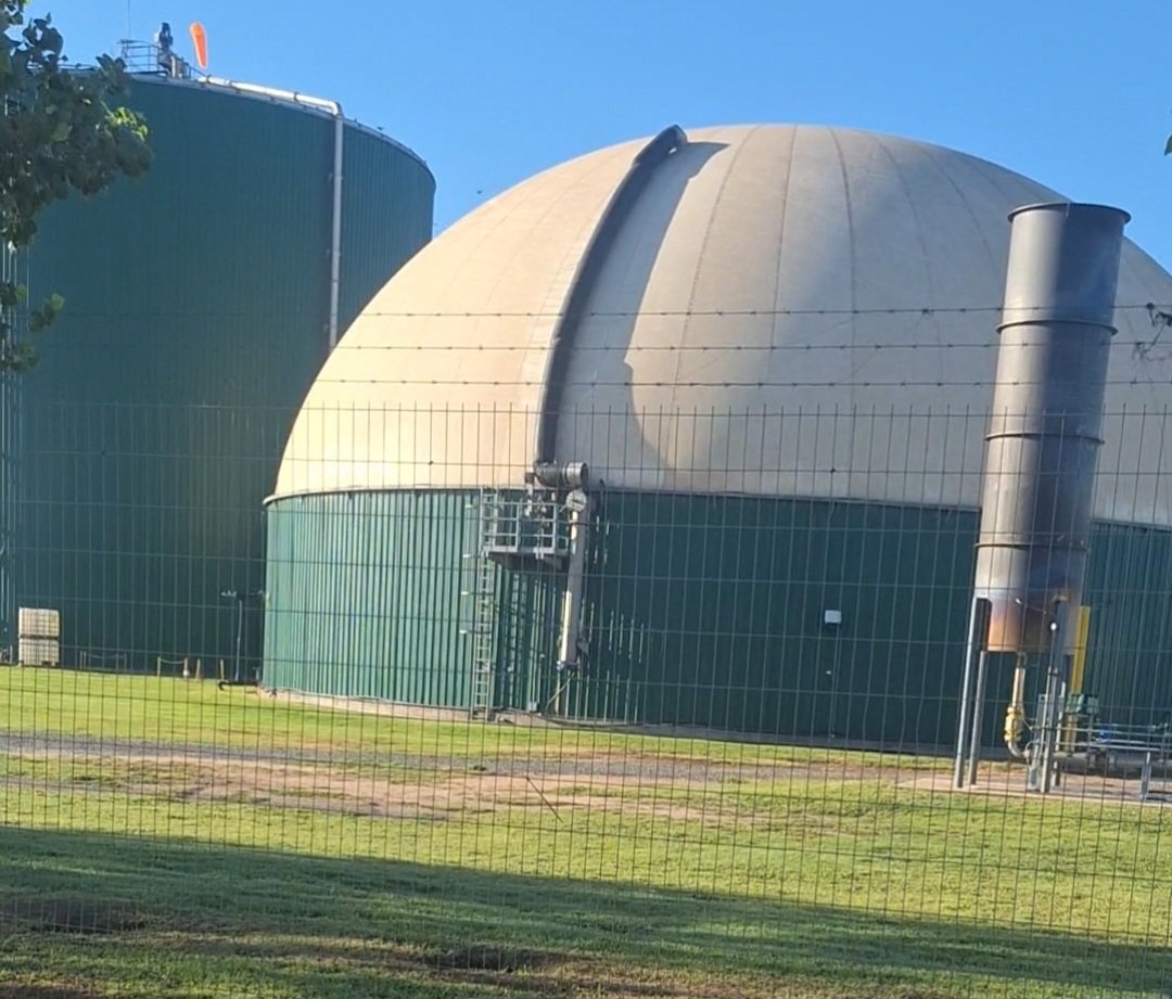 Juan Pablo Alzapiedi tweet media