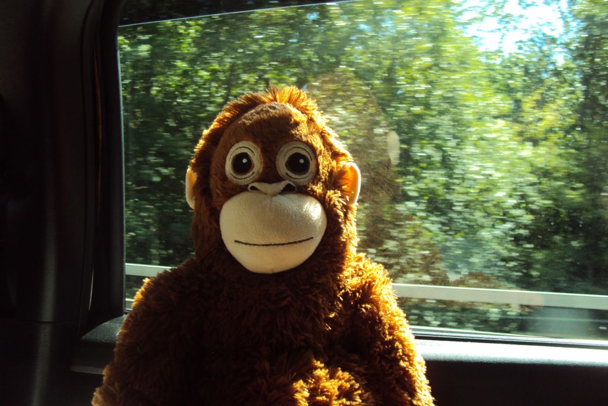 I am surrounded by love and everything is fine