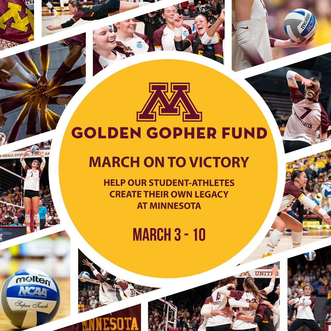 Minnesota Volleyball tweet media