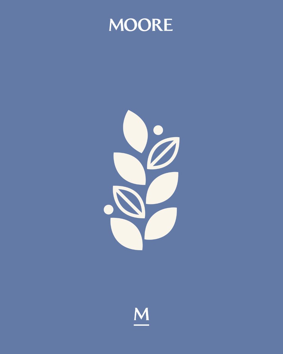 Moore Theological College tweet media