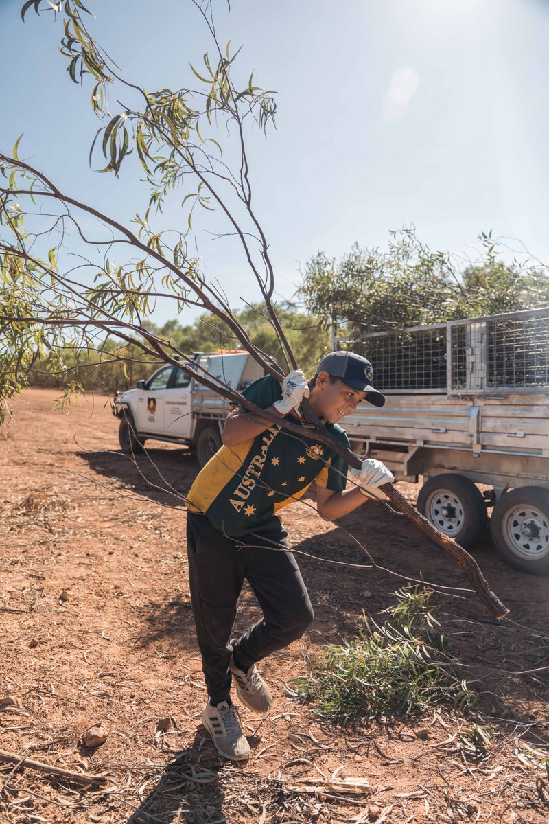 Firesticks tweet media