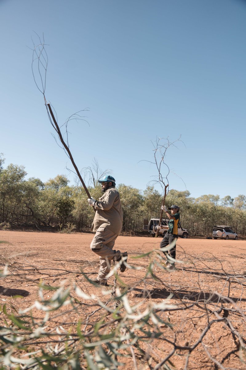 Firesticks tweet media