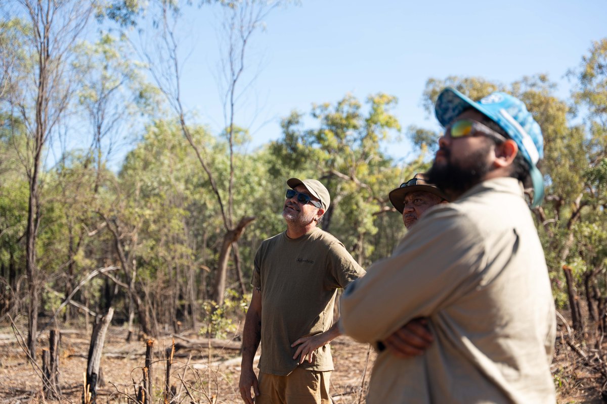 Firesticks tweet media