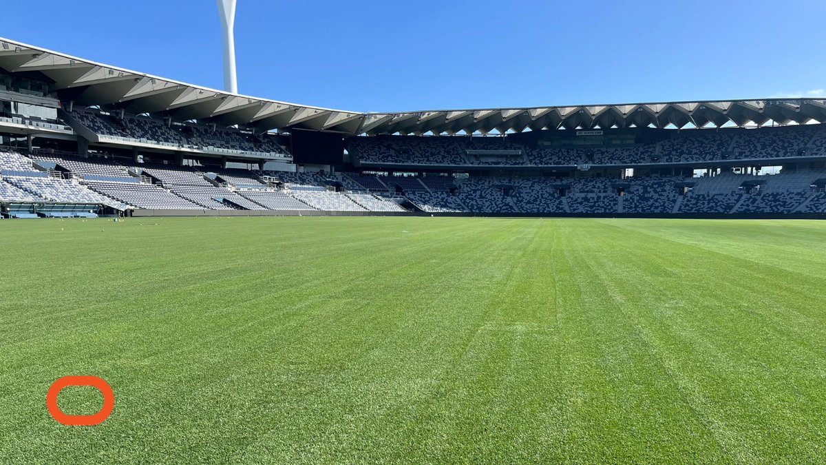 SPORTENG™ tweet media