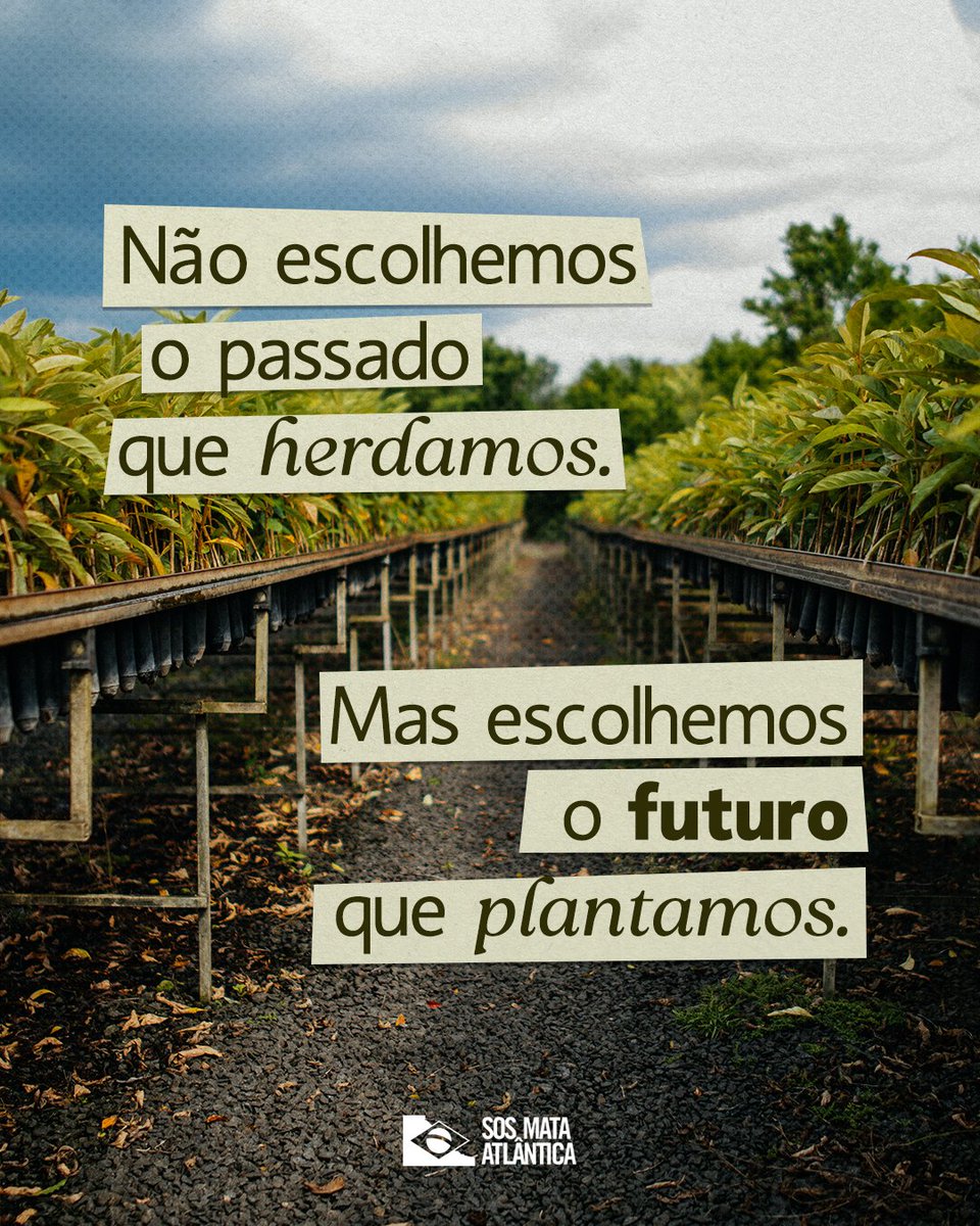 SOS Mata Atlântica tweet media