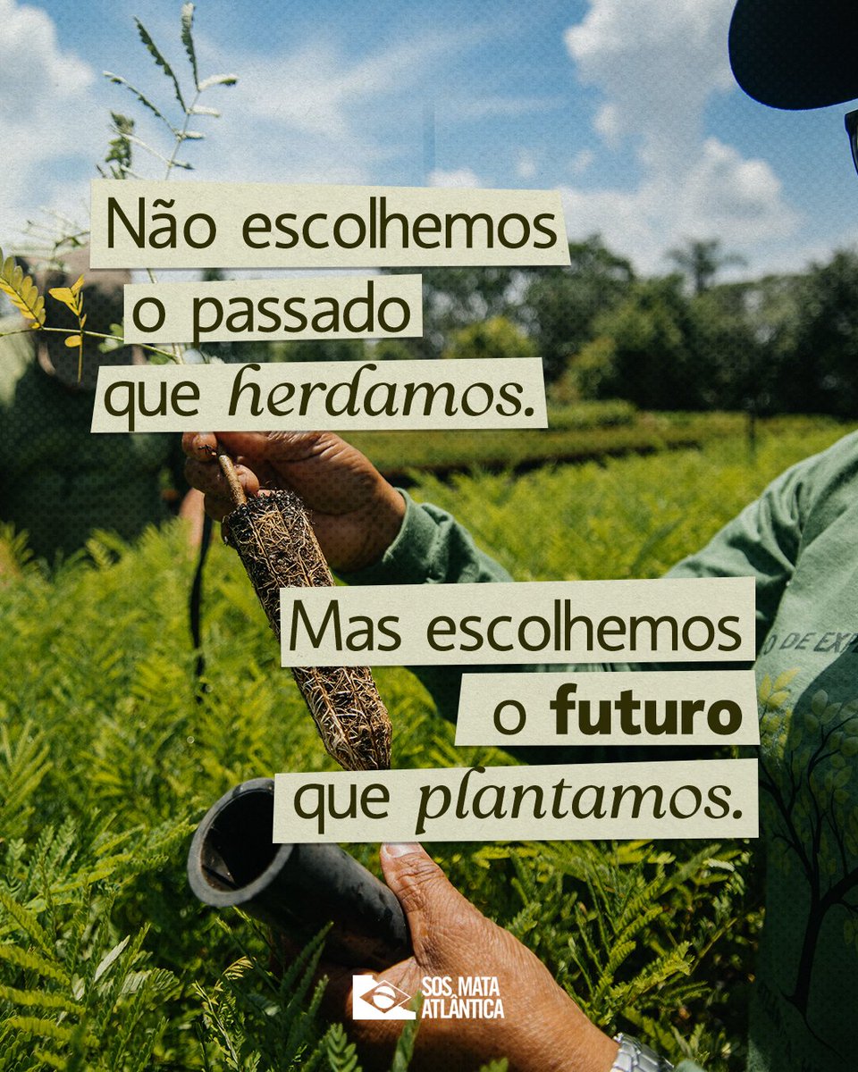 SOS Mata Atlântica tweet media