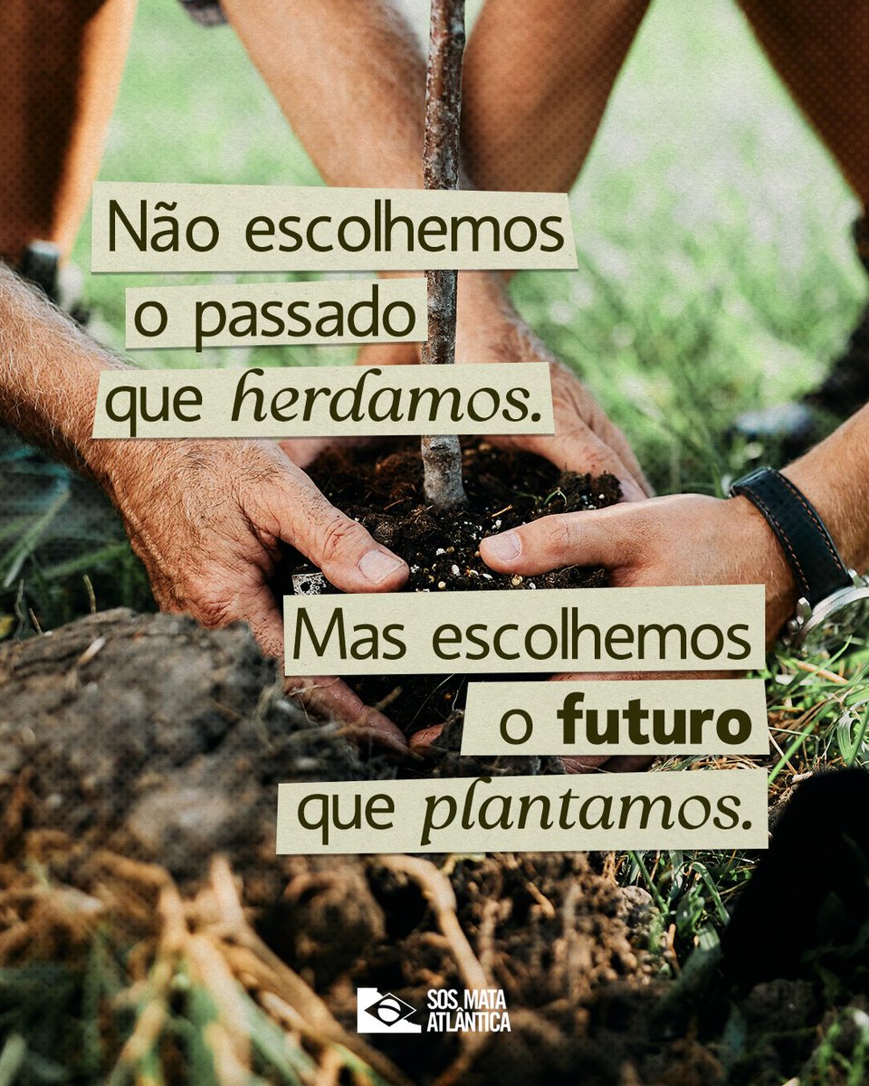 SOS Mata Atlântica tweet media