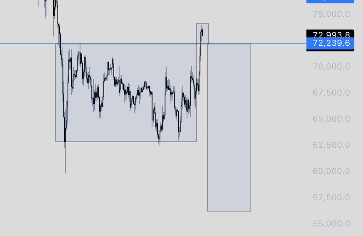 NellyTradez tweet media