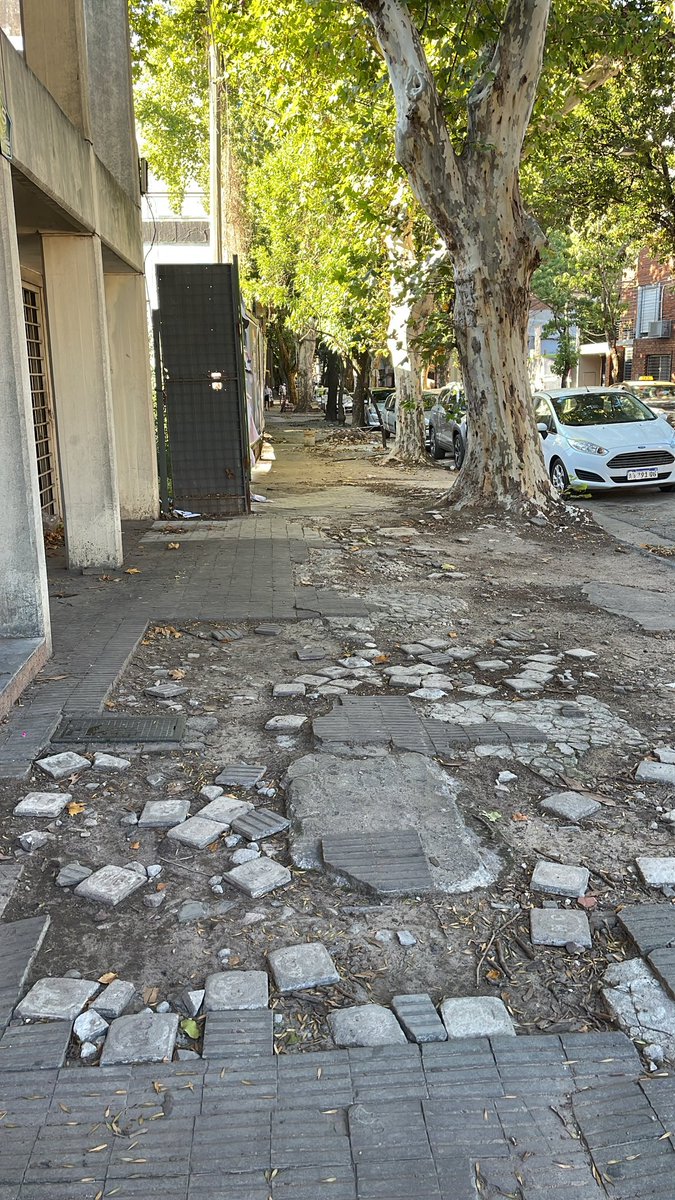 Para los ROSARIOROMANTICOS. Una vereda promedio de Rosario: