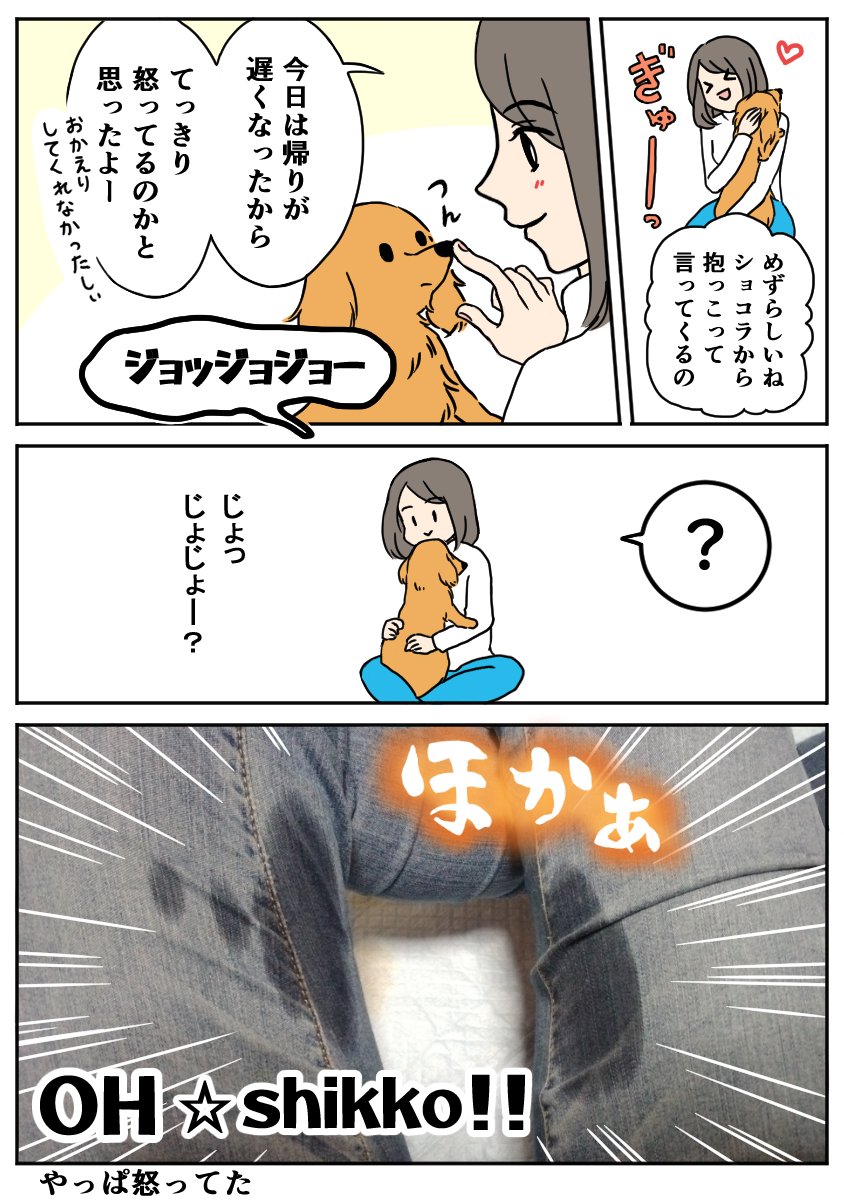 okaka_haruma2's tweet photo. 犬って言葉は話せなくても
感情を全身で伝えてくるよね🤗

帰宅が遅い飼い主に
不満を伝えるイッヌ🐕
その① https://t.co/tYXnjucDXf