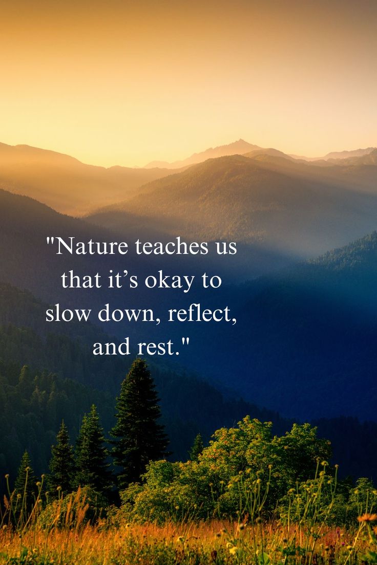 Zen masters tweet media