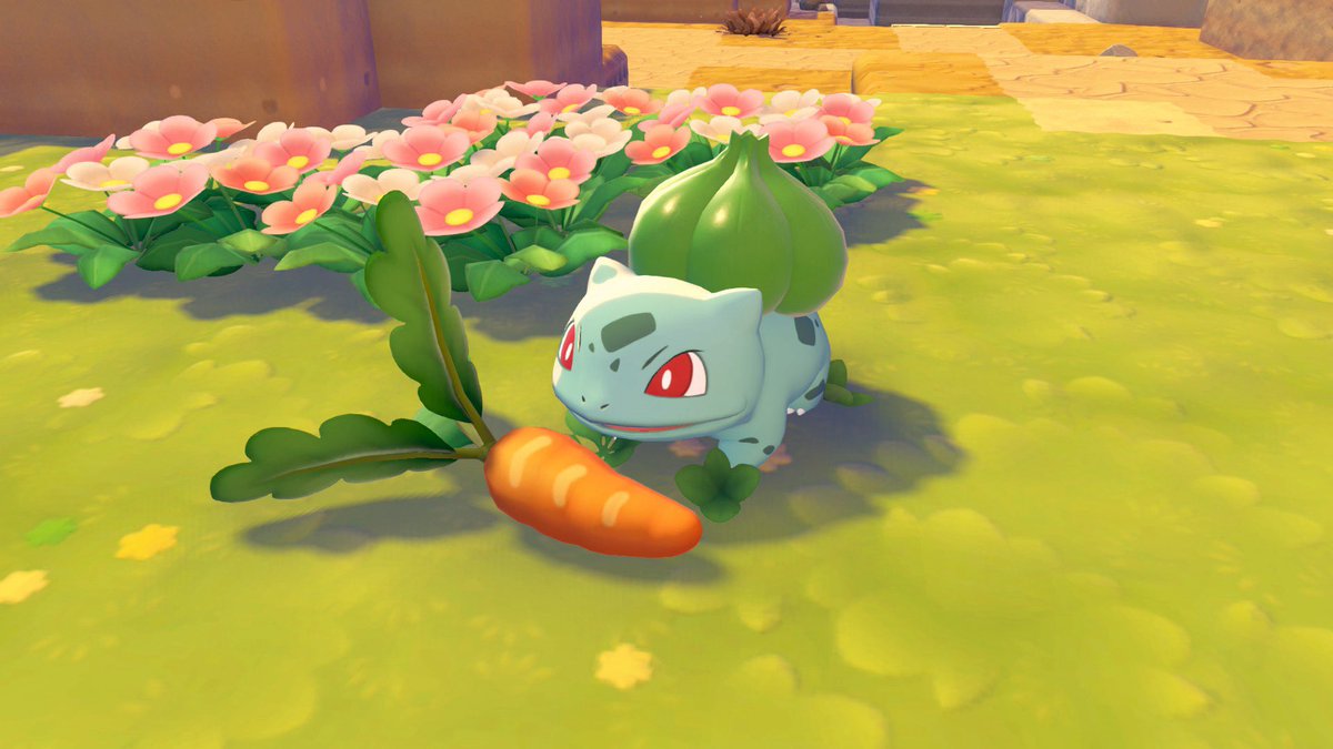 Vinny's tweet photo. NAHHHHH this is mad cute, I just gave my little buddy a carrot 🥕 🙂 https://t.co/E0qflQGVPm
