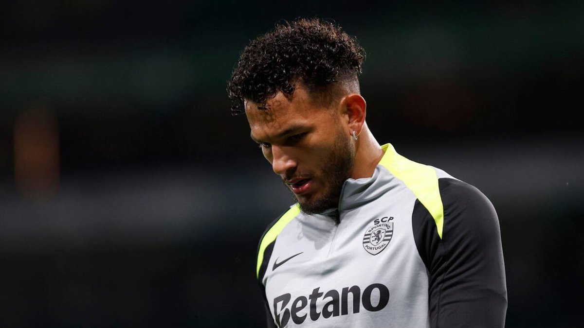 PortoReport tweet media